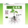 批發大樹澆灌生根靈——供應山東大樹生根劑