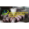 養豬設備價格|濟南高品質養豬料線批售