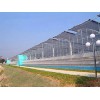 山東優質的園藝溫室建造公司|濰坊園藝溫室建造