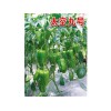 哪里購買太空九號甜椒種子|高品質太空椒種子