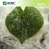 針狀硫酸鎂 工業(yè)級硫酸鎂