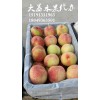 陜西2017桃子產(chǎn)地價格行情，紅不軟毛桃基地批發(fā)