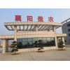 襄陽傲農(nóng)現(xiàn)代農(nóng)業(yè)求購(gòu)玉米次粉麩皮油糠菜粕菜餅等飼料原料
