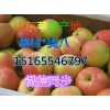 蘋果批發熱線15165546797/貨源充足/價格便宜