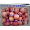 紅富士蘋果產地今日批發(fā)0.50元一斤