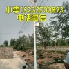 邢臺太陽能路燈哪個牌子好,邢臺6米太陽能路燈廠家