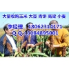 大量收購北方玉米| 未來玉米價格還會漲嗎？
