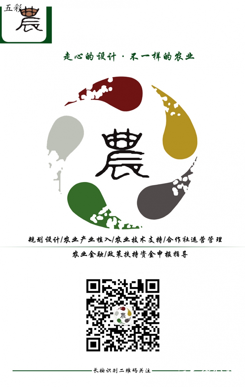 五彩農(nóng)訂閱號微信
