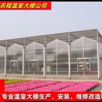 陽光板板連棟育苗溫室大棚 GSW8445種植薄膜溫室設備